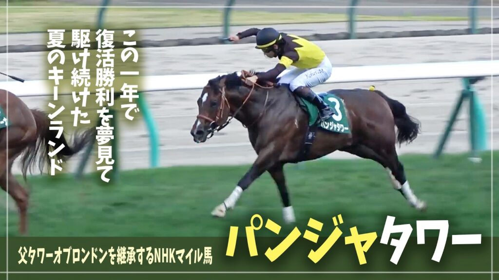 【パンジャタワー】一年ぶりの勝利を夢見て！夏競馬で魅せた末脚【GⅢキーンランドカップ】