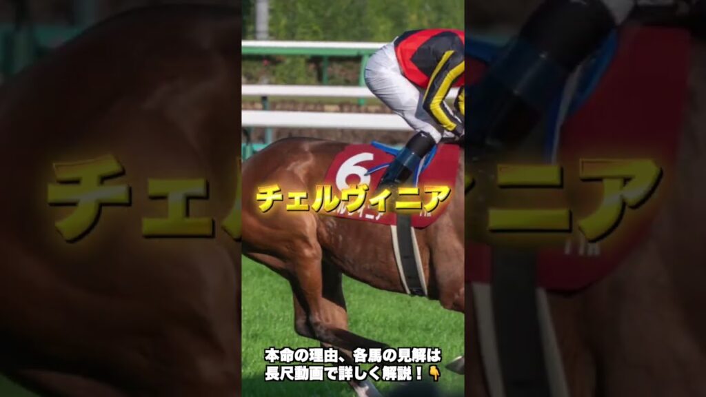 G3新潟記念の穴馬を3頭紹介＃競馬＃競馬予想＃アーバンシック＃チェルヴィニア＃ボーンディスウェイ