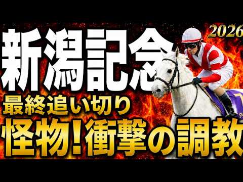 【新潟記念2026競馬予想】水曜最終追い切り評価|有力馬診断|軍師AI|ダノンシーマ、ロデオドライブの上位陣は?状態が届いてない馬も明確!最終段階での序列は見えてきた最終結論、買う馬と危険馬? 【新潟記念2026競馬予想】水曜最終追い切り評価|有力馬診断|軍師AI|ダノンシーマ、ロデオドライブの上位陣は?状態が届いてない馬も明確!最終段階での序列は見えてきた最終結論、買う馬と危険馬?