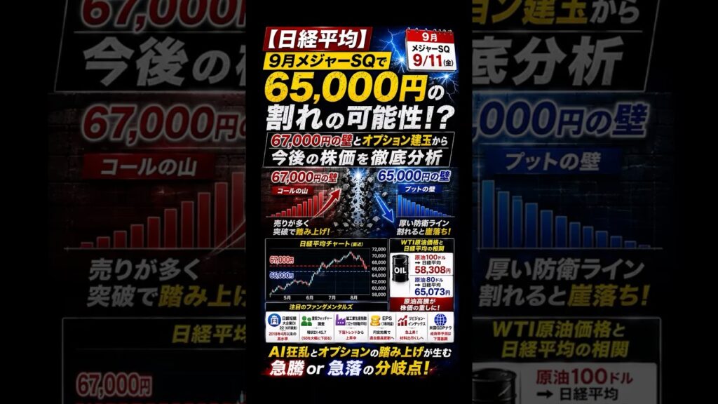 【日経平均】9月メジャーSQで65,000円割れの可能性！？67,000円の壁とオプション建玉から今後の株価を徹底分析【ゆっくり解説】【ゆっくり投資】【ゆっくりお金】