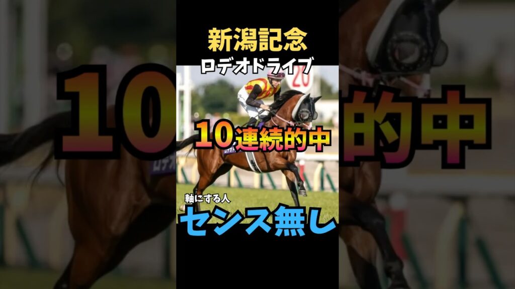 【新潟記念2026】10週連続的中🎯軸にする人センス無し/ロデオドライブ#新潟記念 #ロデオドライブ #競馬 #競馬予想 #競馬予想tv #中央競馬予想