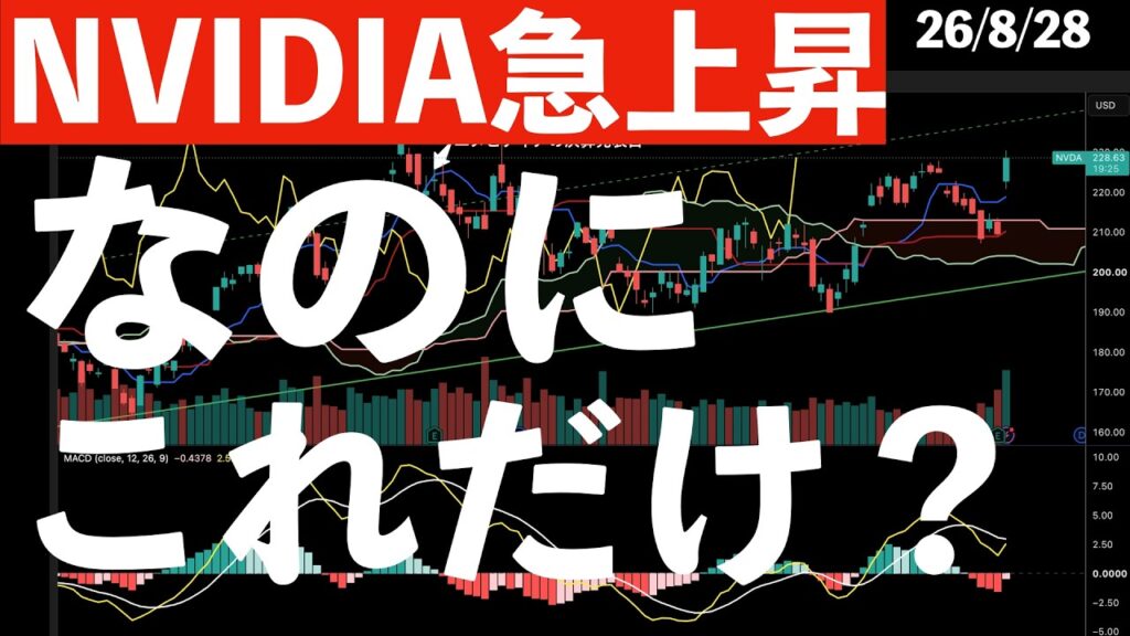 【エヌビディア急上昇】なのにこれだけ？　#米国株 #日経平均 #sp500 #soxl #nvda