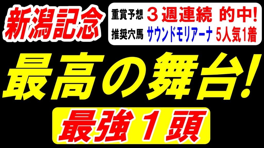 【 新潟記念 2026 】 ここは最高の舞台！最強１頭！