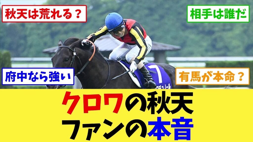 【天皇賞秋2026】クロワデュノールの始動戦、ファンの見方が割れ始める…【競馬】 【天皇賞秋2026】クロワデュノールの始動戦、ファンの見方が割れ始める…【競馬】