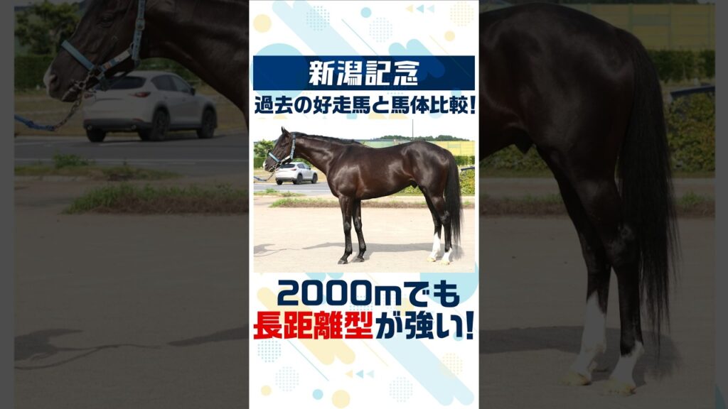 【新潟記念 2026】2000mだけど長距離型が強い！マークすべき2頭を紹介