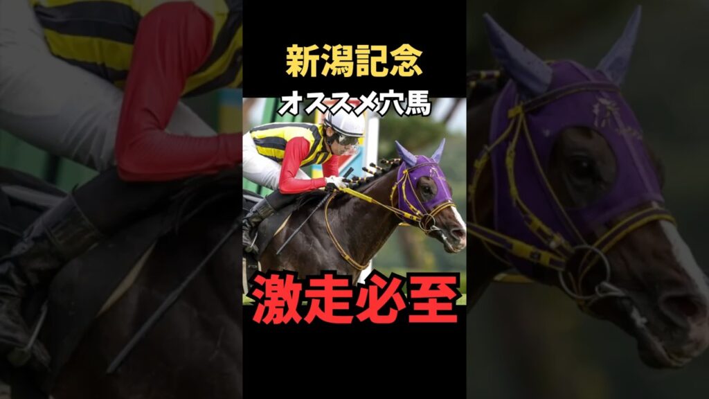 【新潟記念2026】オススメ穴馬/バレエマスター#新潟記念 #バレエマスター #競馬 #競馬予想 #競馬予想tv #中央競馬予想