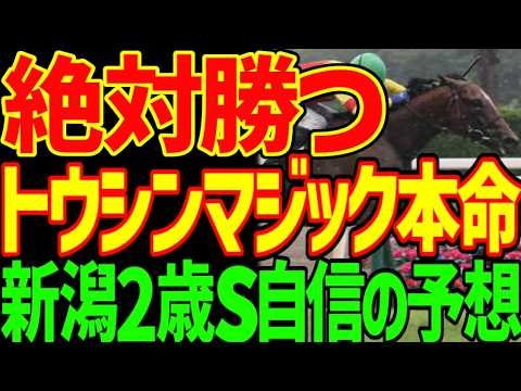 【新潟2歳S予想】絶対に来ない！レッチュベルク！インカルナータ！エフフォーリア産駒に夢見すぎ！とにかくこのレースはスピード能力！コレットさん！！2026年新潟2歳ステークス予想動画【競馬ゆっくり】