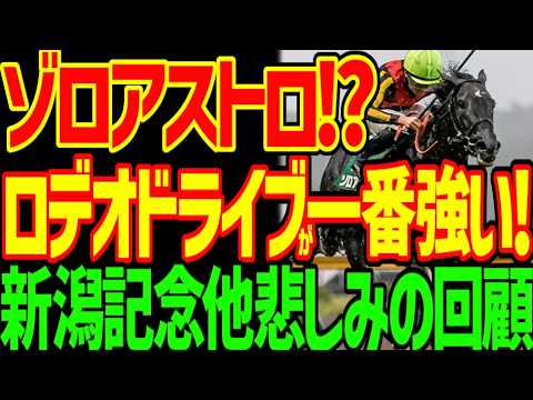 【3歳世代は強い】ゾロアストロは天皇賞(秋)か菊花賞か？ロデオドライブが一番強い競馬をした！ドゥレッツァ、チェルヴィニアは見限れない理由…2026年新潟記念、中京2歳S回顧動画【競馬ゆっくり】