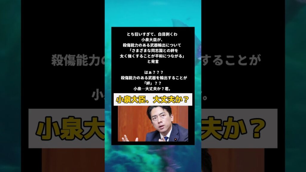 #政治 #小泉進次郎
