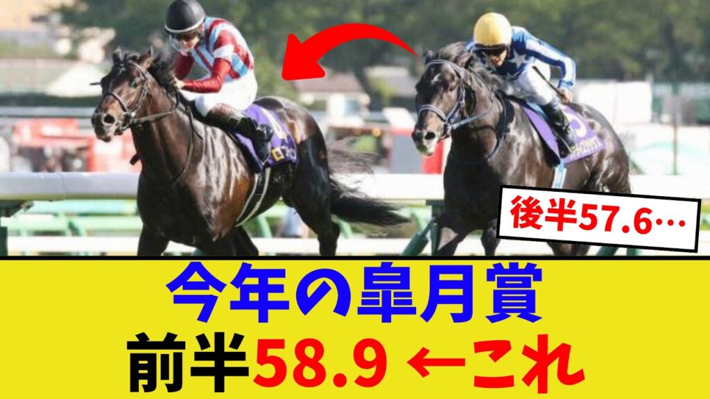 今年の皐月賞のペースって…【競馬反応集】 今年の皐月賞のペースって…【競馬反応集】