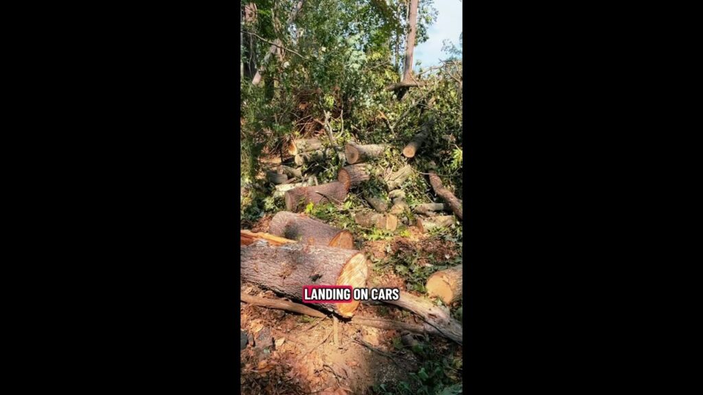 Cleanup continues after Wilton tornado
