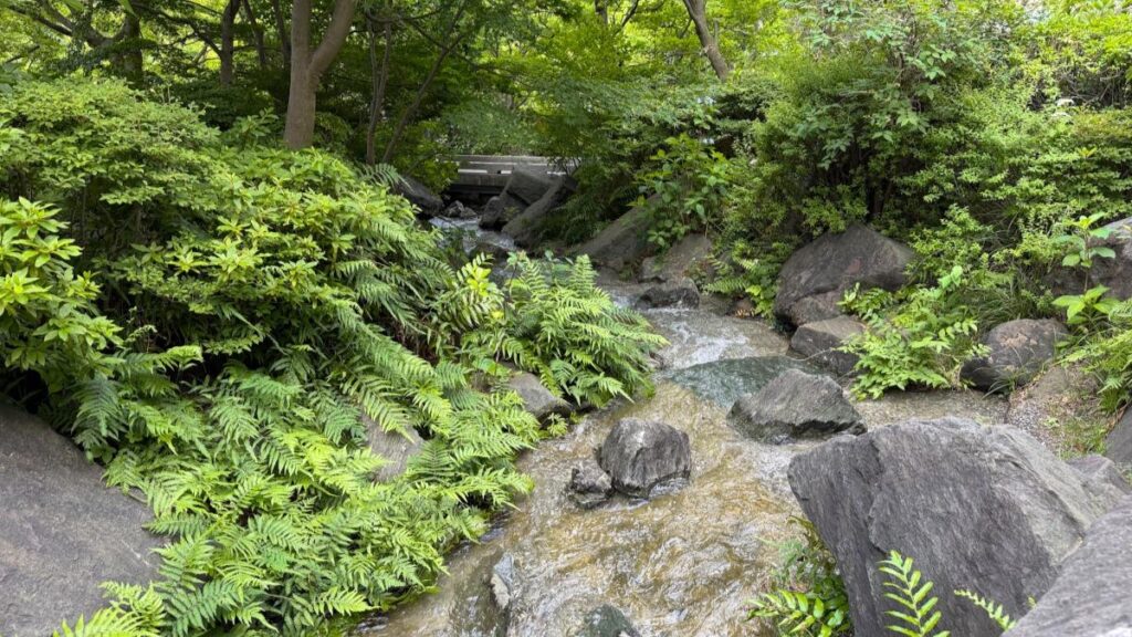 喧騒を逃れる…東京23区で【渓谷のような趣】を楽しめる日本庭園4選!どこも無料。おでかけライター厳選(oto) – エキスパート – Yahoo!ニュース 喧騒を逃れる…東京23区で【渓谷のような趣】を楽しめる日本庭園4選!どこも無料。おでかけライター厳選(oto) - エキスパート - Yahoo!ニュース
