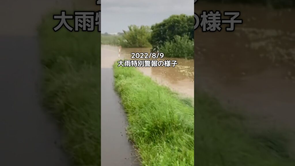 緊急で動画回してます#緊急事態宣言 #農業#浸水