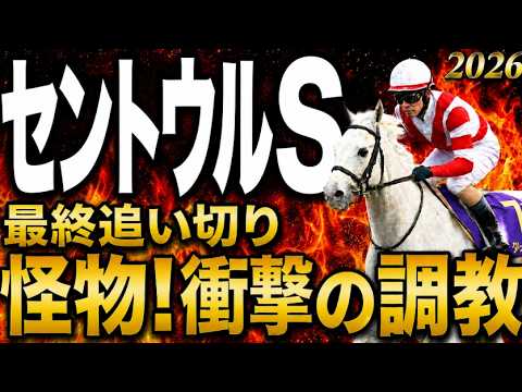 【セントウルステークス2026競馬予想】水曜最終追い切り結論|軍師AI|買う馬とママコチャ、ピューロマジック、フリッカージャブの上位陣は?衝撃の調教唸る穴馬とは!最終段階での序列は見えてきた最終結論 【セントウルステークス2026競馬予想】水曜最終追い切り結論|軍師AI|買う馬とママコチャ、ピューロマジック、フリッカージャブの上位陣は?衝撃の調教唸る穴馬とは!最終段階での序列は見えてきた最終結論