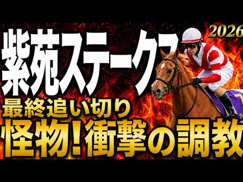 【紫苑ステークス2026競馬予想】水曜最終追い切り結論|軍師AI|買う馬とリアライズルミナス、ドリームコア、ジッピーチューンの上位陣は?衝撃の調教唸る穴馬とは!最終段階での序列は見えてきた最終結論 【紫苑ステークス2026競馬予想】水曜最終追い切り結論|軍師AI|買う馬とリアライズルミナス、ドリームコア、ジッピーチューンの上位陣は?衝撃の調教唸る穴馬とは!最終段階での序列は見えてきた最終結論