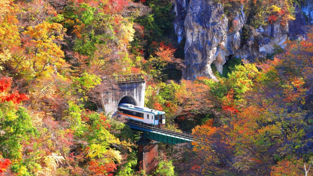 残暑の影響で紅葉見頃は平年より遅め―日本気象 : 東京は11月下旬に最高の彩り | nippon.com