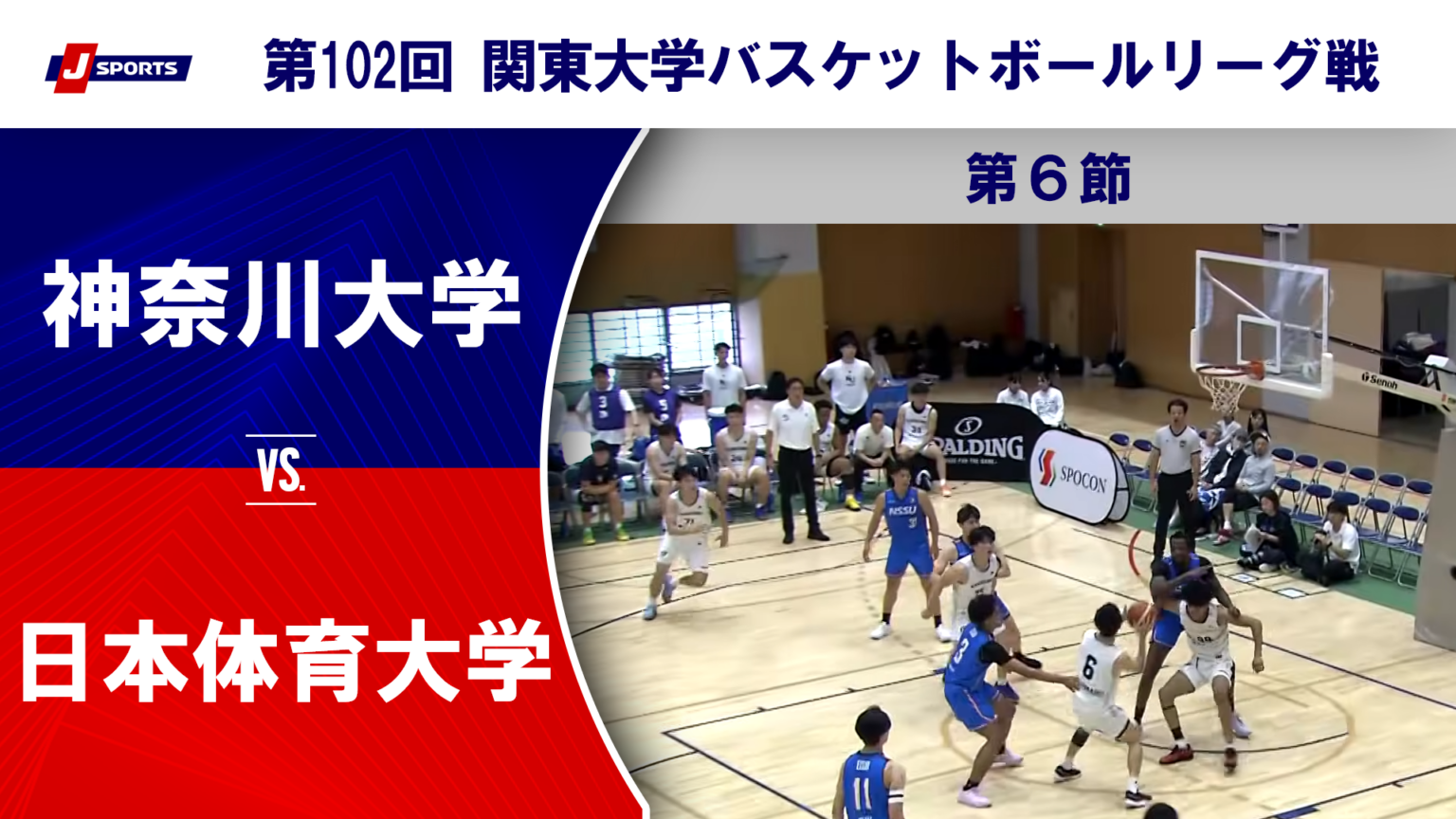 【動画】【ハイライト】神奈川大 vs. 日本体育大｜第102回 関東大学バスケットボールリーグ戦 第6節（9月6日）