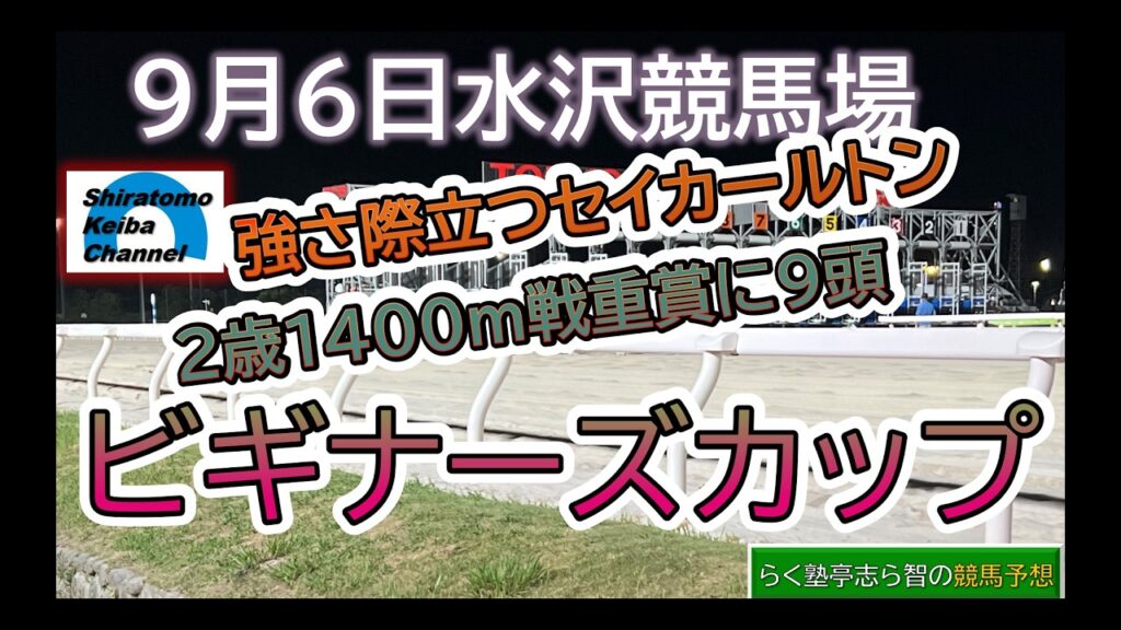【競馬予想】重賞 ビギナーズカップ~好調セイカールトン!~2026年9月6日 水沢競馬場 :9-15 【競馬予想】重賞 ビギナーズカップ~好調セイカールトン!~2026年9月6日 水沢競馬場 :9-15
