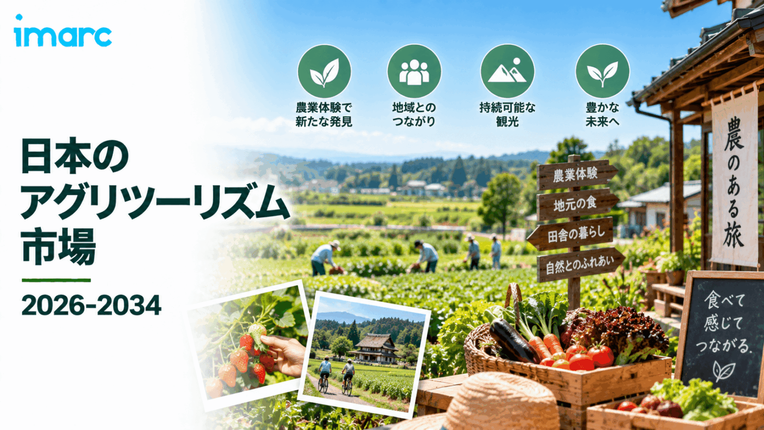 日本の機内食市場：需要動向、市場力学、および成長見通し（2026～2034年）