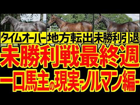 【一口馬主の現実】未勝利最終週…競馬ゆっくりの出資愛馬の3歳馬の未勝利突破はどれくらい?弥生賞馬バステールくんはほんの一握りだぞ!一口馬主は金の無駄だ!一口馬主の現実-ノルマンディー編-【競馬ゆっくり 【一口馬主の現実】未勝利最終週…競馬ゆっくりの出資愛馬の3歳馬の未勝利突破はどれくらい?弥生賞馬バステールくんはほんの一握りだぞ!一口馬主は金の無駄だ!一口馬主の現実-ノルマンディー編-【競馬ゆっくり