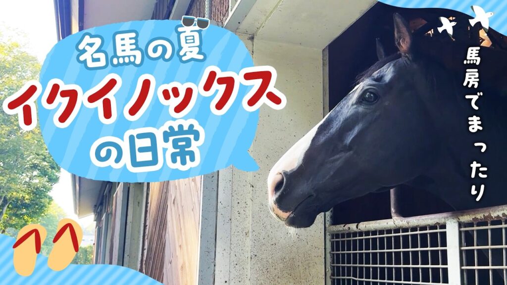 【名馬の夏】最強馬イクイノックスのまったりした日常