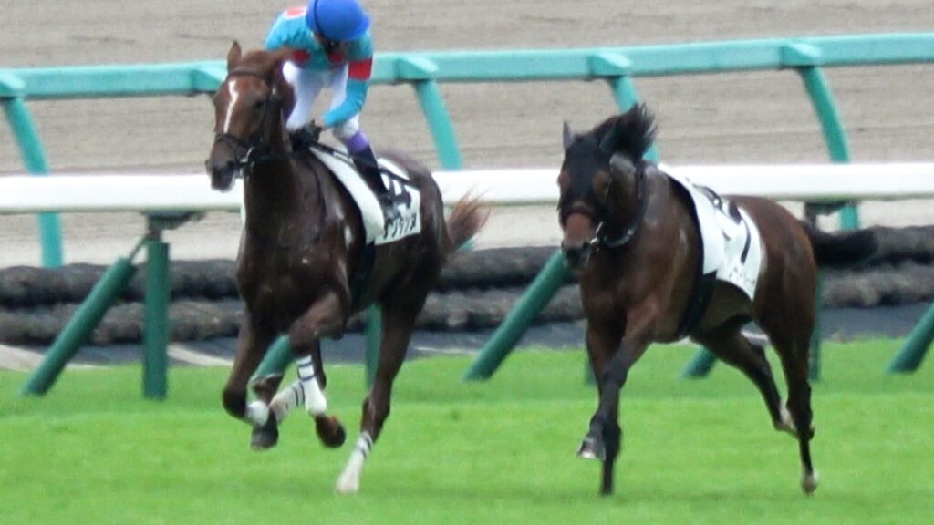 【落馬】【放馬】川田騎乗の⑦ウィナーズチェックがスタート直後に躓いて落馬‼ 武豊も気が気でないなか あっさり戦列を離れる 現地映像