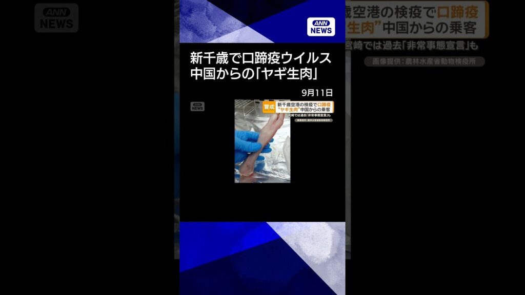 【ニュース】新千歳空港の検疫で口蹄疫ウイルス検出 中国からの乗客の荷物に持込禁止「ヤギ生肉」 #shorts 【ニュース】新千歳空港の検疫で口蹄疫ウイルス検出 中国からの乗客の荷物に持込禁止「ヤギ生肉」 #shorts