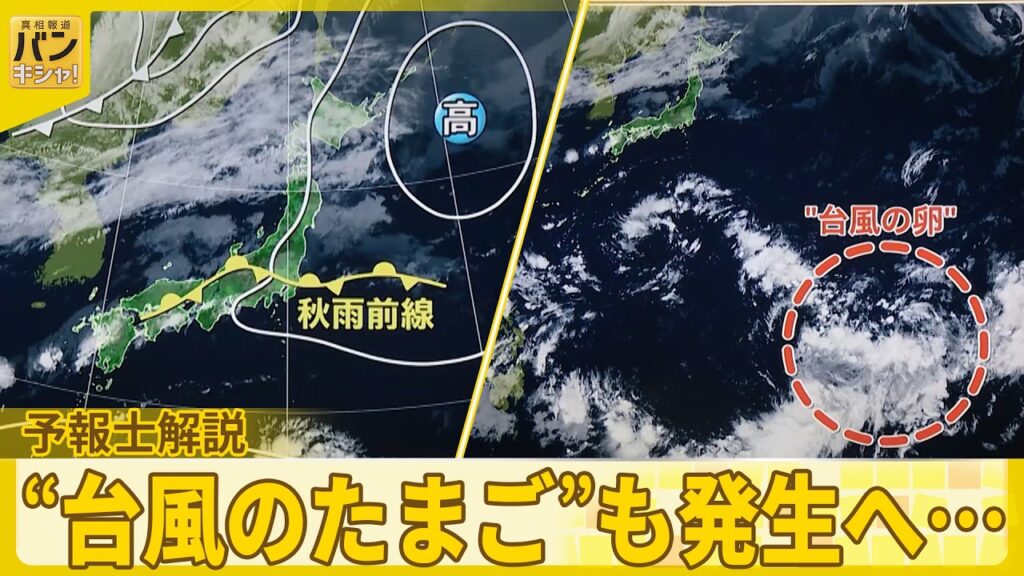 【予報士解説】14日再び「警報級大雨」おそれ “台風のたまご”も発生へ…シルバーウイークに影響は？『バンキシャ！』