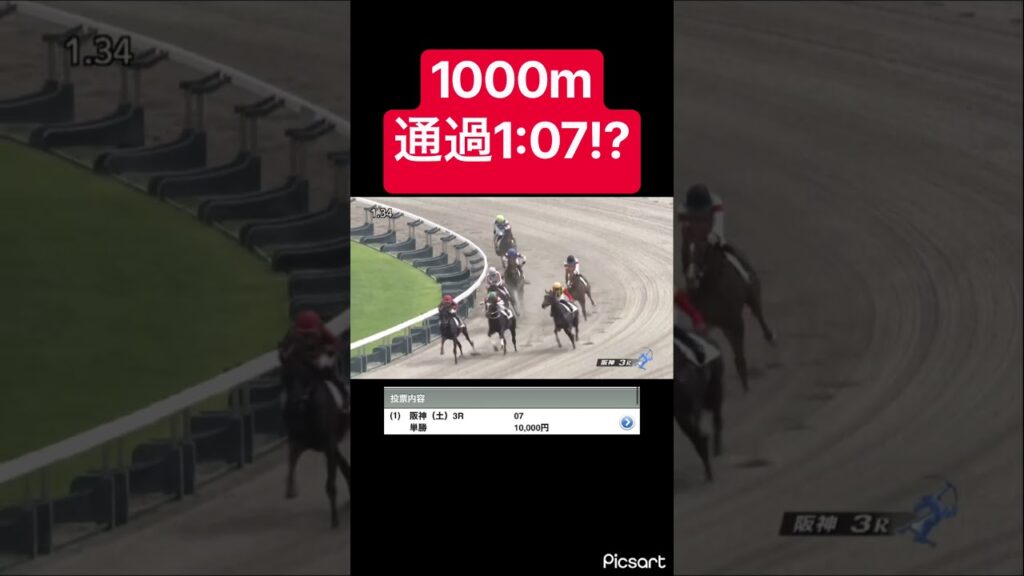 【ドスロー】1000m通過1:07とかいう過去にないドスロー展開 #競馬