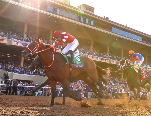 昨年のブリーダーズカップクラシックでフォーエバーヤング(左端)が悲願の勝利
