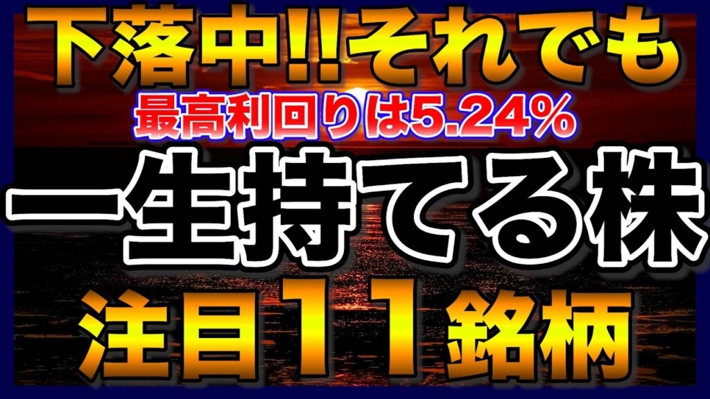 【高配当株】株価が下落中‼️それでも保有を続けられる長期投資、注目11銘柄【配当金】【不労所得】
