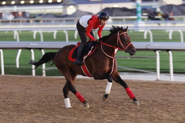荒木助手を背にベルモントパークのダートコースで体を動かすフォーエバーヤング(Ｃ)Dom Napolitano
