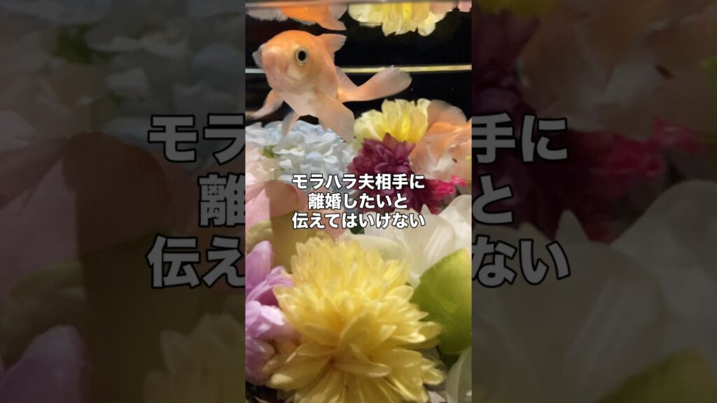 モラハラ夫相手に離婚したいとは言ってはいけない モラハラ夫相手に離婚したいとは言ってはいけない