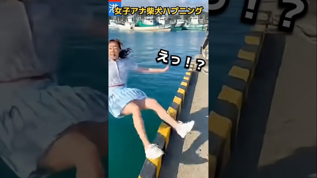 【放送事故】柴犬タックル！レポート中の女子アナにまさかの悲劇w