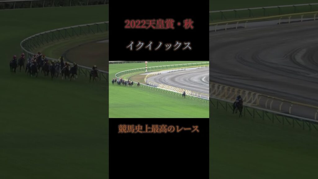 イクイノックス天皇賞・秋 #競馬 #jra