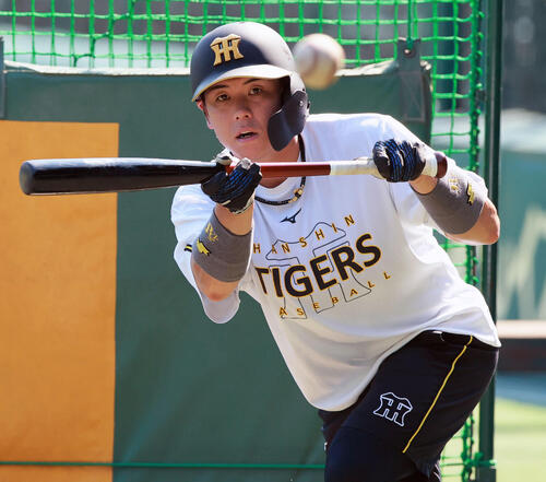 練習に励む阪神梅野隆太郎（2026年8月撮影）