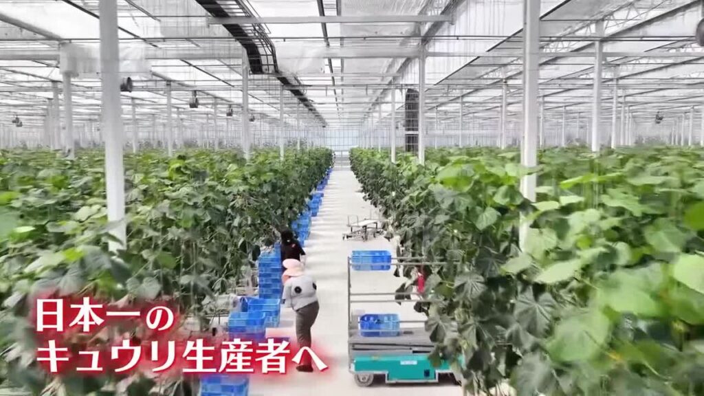 共有