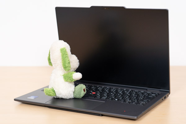 ThinkPad X1 2-in-1 Gen 11 Aura Editionの視野角