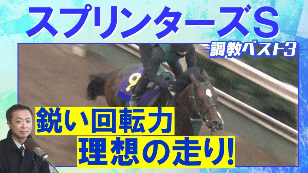 「渾身の仕上げ！」パンジャタワー、スターアニス、フリッカージャブ・・・競馬エイト・高橋賢司トラックマンの調教解説＜スプリンターズステークス(ＧⅠ)＞