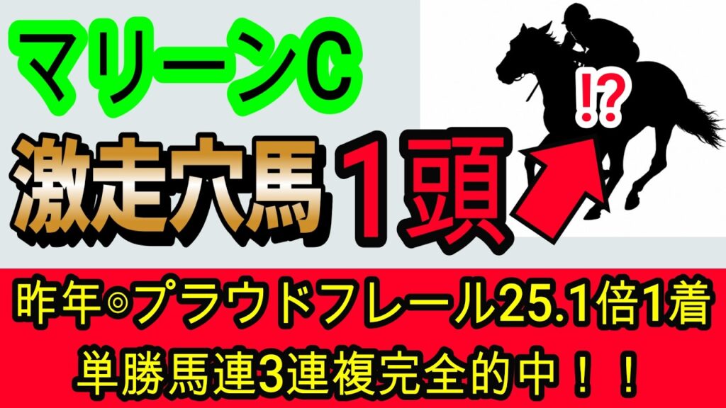 【競馬予想】マリーンカップ2026　今年も激走する地方馬がいる！？　昨年完全的中男が地方重賞の攻略法を教えます！