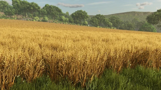 『Farming Simulator 25』の広大な田んぼ風景