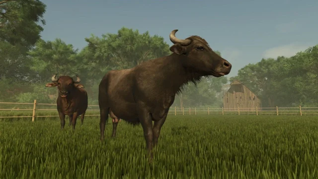 『Farming Simulator 25』のゲーム画面。牧草地にバッファローが2頭立っている。
