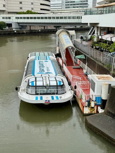 みなとみらい大橋から見えるシーバス