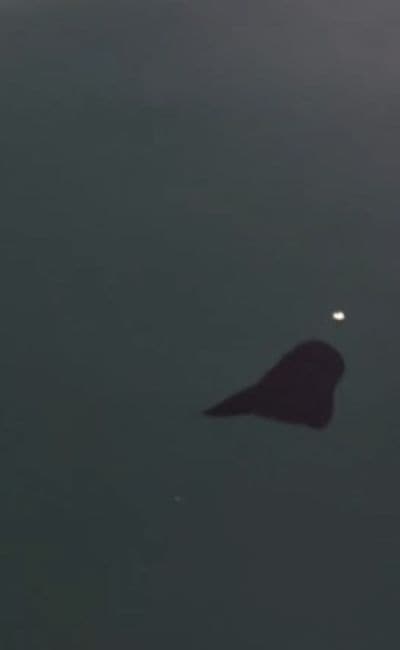 浮遊する葉っぱのようです