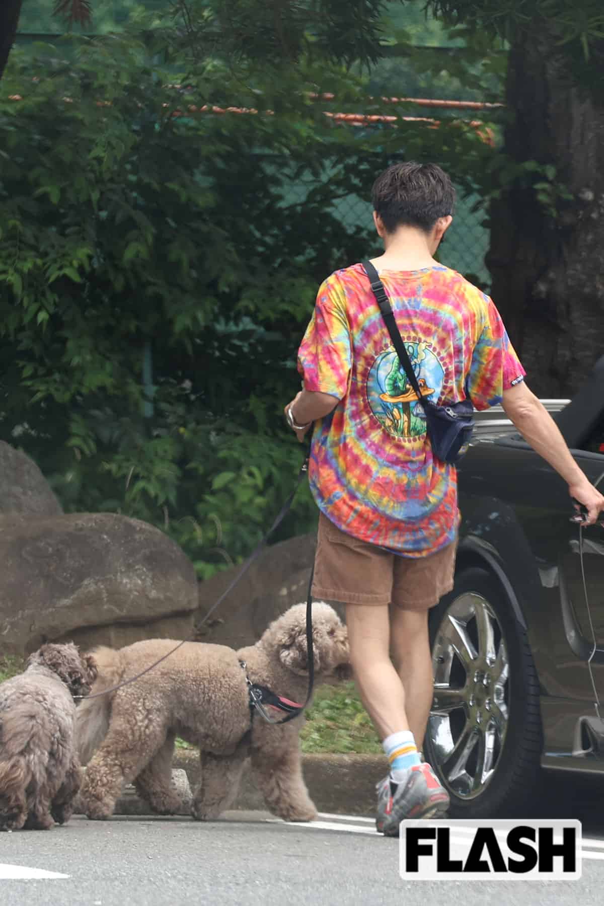 木村拓哉の愛犬はテレビに出演したこともある（写真・伊藤 修）