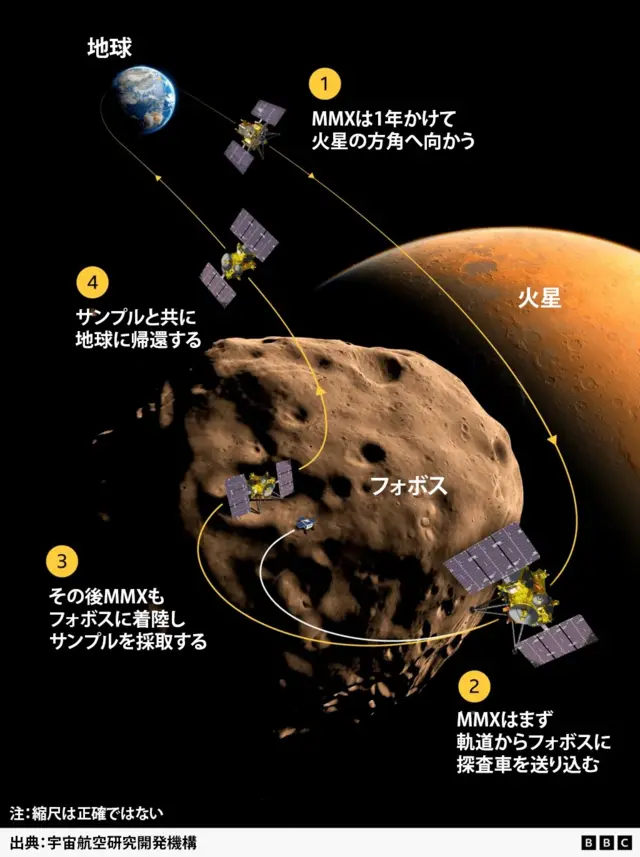 MMX探査機が地球から火星の衛星フォボスへ向かう様子を示すインフォグラフィック。探査計画は4段階に分かれており、第1段階で探査機が地球を出発する。第2段階で探査機がフォボスの周回軌道に入り、探査車を着陸させる。第3段階では探査機が着陸し、衛星のサンプルを採取する。第4段階で探査機がサンプルを地球に持ち帰る。出典は宇宙航空研究開発機構
