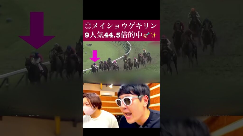 #競馬 #競馬予想 大荒れ決着の伝説のオールカマー‼️もこ丸本命9人気◎メイショウゲキリン大的中で歓喜✨🎯