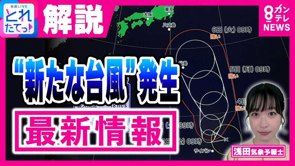 【台風情報】“新たな台風”台風27号の今後の進路は? 気象予報士が解説 台風26号が関東に最接近 観測史上最長・東京で36日連続の雨も…久しぶりの晴れ|旬感LIVE とれたてっ!〈カンテレNEWS〉 【台風情報】“新たな台風”台風27号の今後の進路は? 気象予報士が解説 台風26号が関東に最接近 観測史上最長・東京で36日連続の雨も…久しぶりの晴れ|旬感LIVE とれたてっ!〈カンテレNEWS〉
