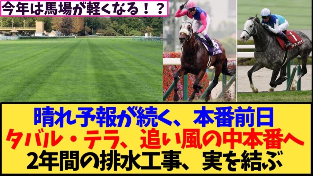 【凱旋門賞2026】「もう水はまきません」フランスギャロが明言！日本馬への影響はどうなる？