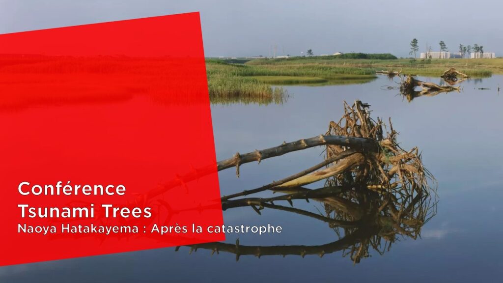 Rencontre : Tsunami Trees / Naoya Hatakeyama : Après la catastrophe　津波の木：畠山直哉 ―震災のあとで―